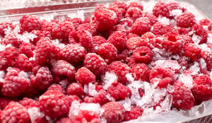 cold-rasberries